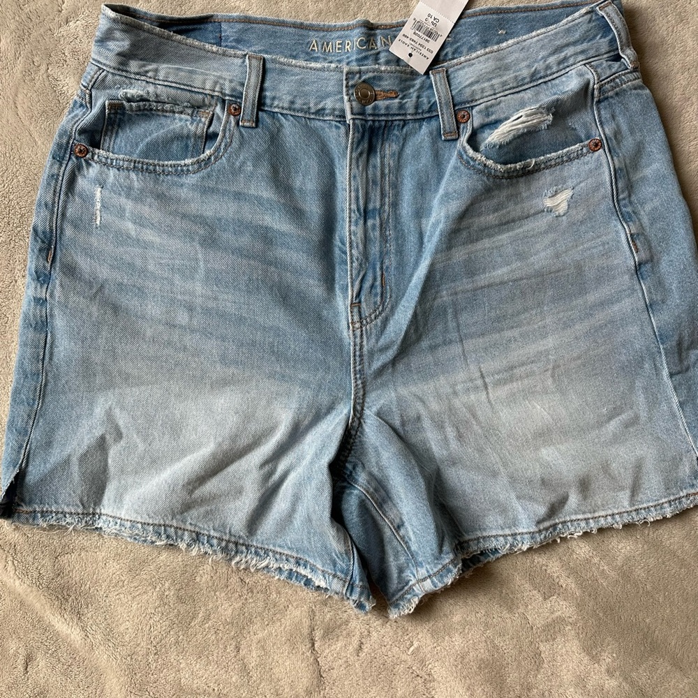 American Eagle Outfitters Light Blue Distressed Jean Shorts